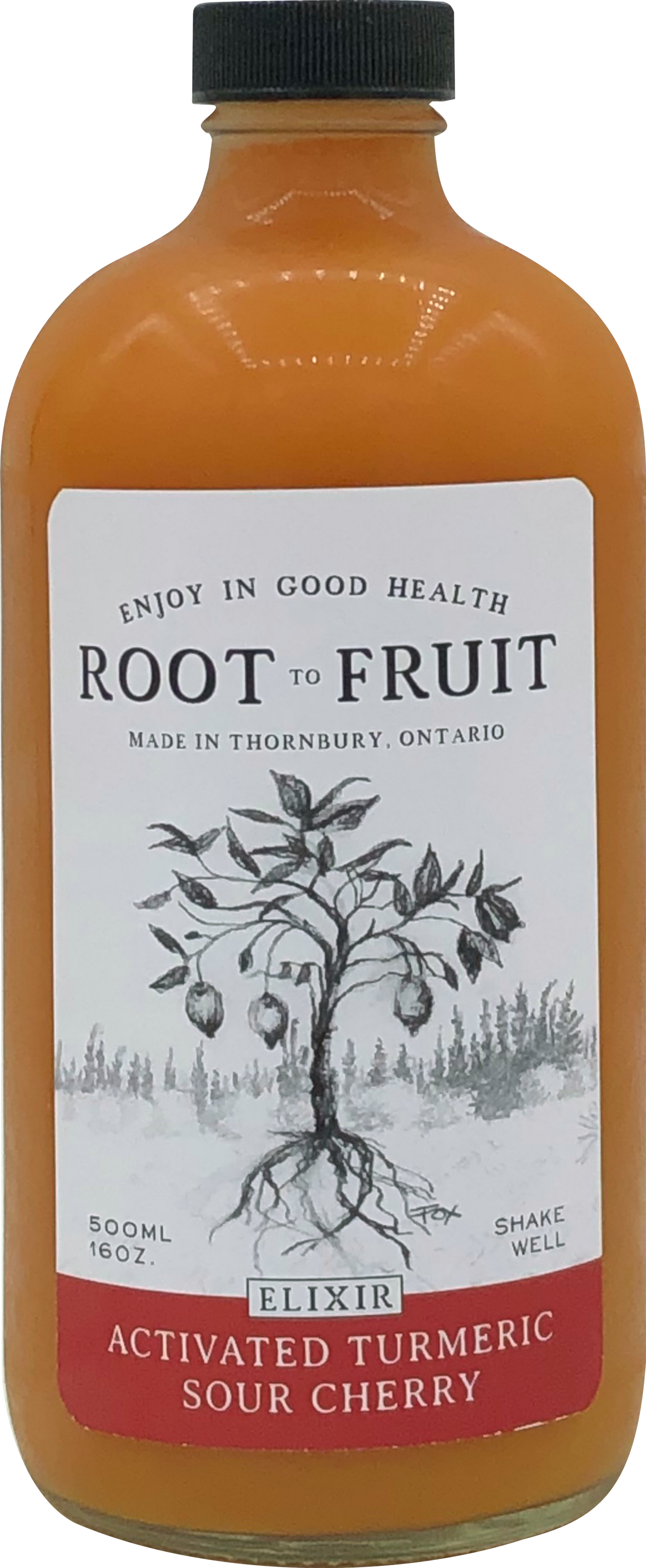 Root to Fruit, Activated Turmeric Ginger & Sour Cherry
