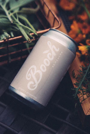 Booch Kombucha, Ginger