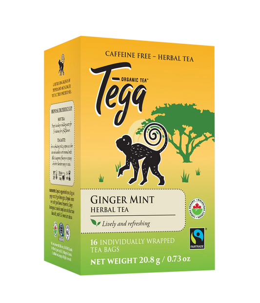 Tega Ginger-Mint Herbal Tea