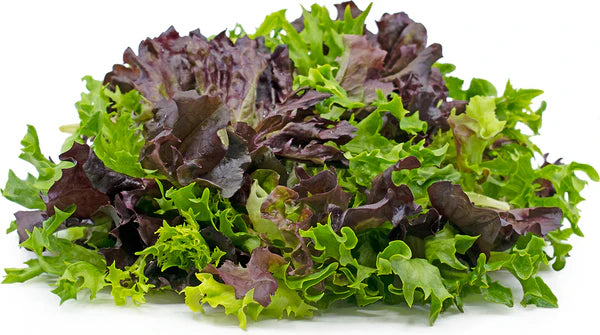 LOCAL Mixed Greens 1/4lb (Spring MIX)