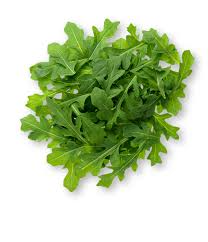 Arugula, 1/4lb Organic USA