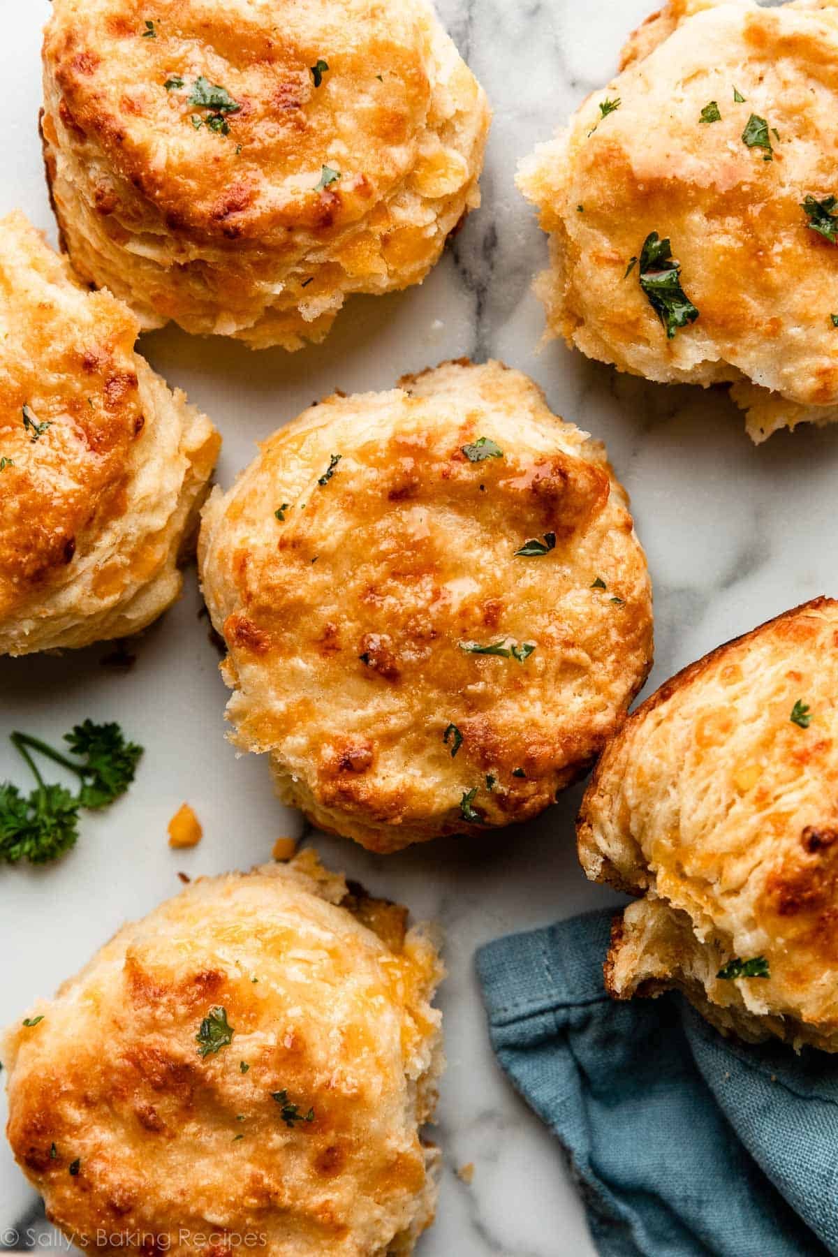 Cheddar Garlic Sage Biscuits (EACH) single