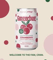 Gingerbug, CRANBERRY GINGER Fermented Ginger Soda