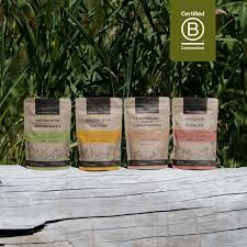 Harmonic Arts Herbal Lattes, Mushroom Hot Chocolate LARGE