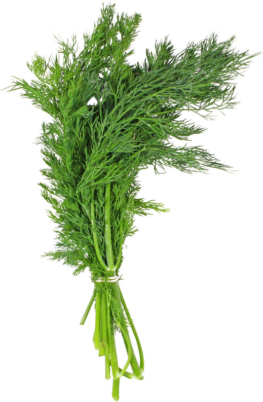 Dill, bunch