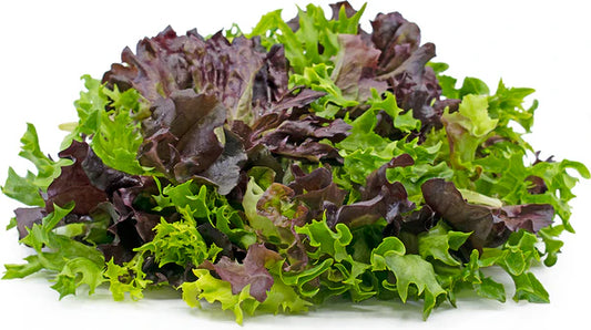 LOCAL Mixed Greens 1/4lb (Spring MIX)