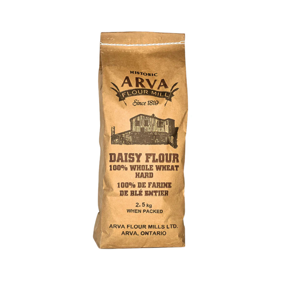 Arva Daisy Flour, HARD WHOLE WHEAT 2.5KG
