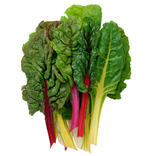 Chard, Rainbow Swiss Chard ORGANIC ONT