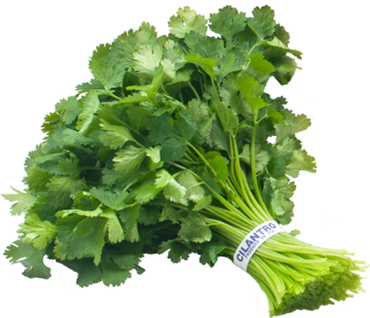 Cilantro, Bunch