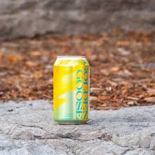 Headwaters Sparkling Tea, Golden Goose
