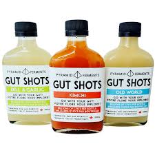 Pyramid Ferments Gut Shot