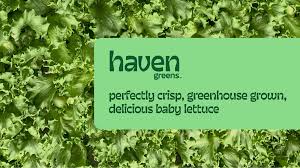 LOCAL Mixed Greens 1/4lb (Spring MIX)
