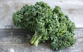 Kale, ONTARIO