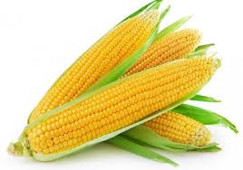 Corn, sweetcorn
