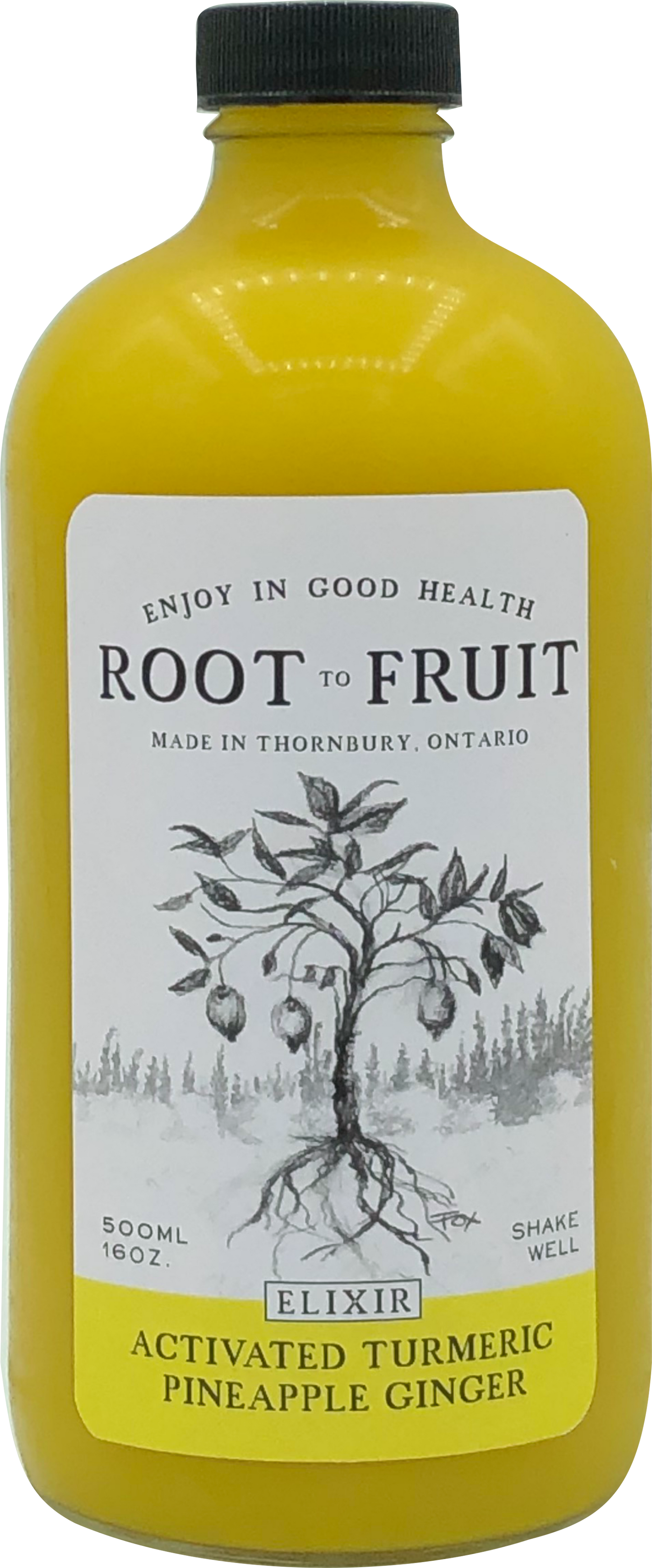 Root to Fruit, Activated Turmeric Ginger & Pineapple