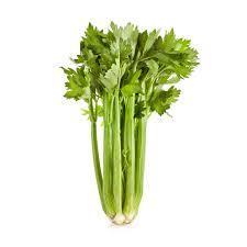 Celery