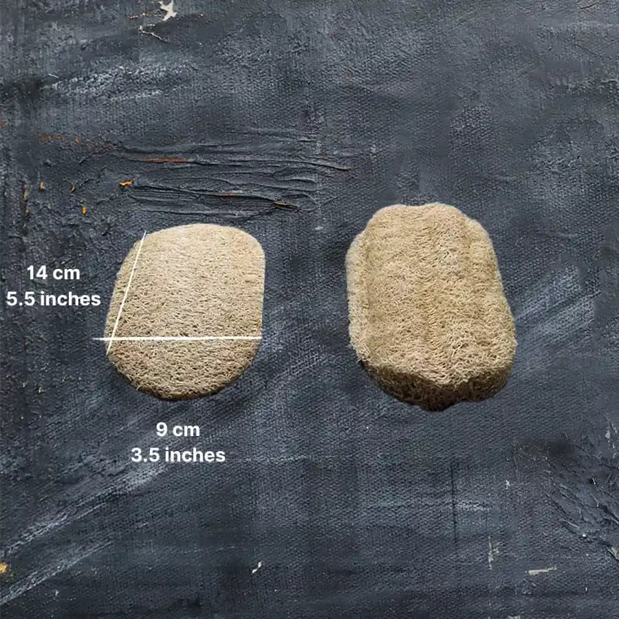 Plantish Loofah Dish Sponge