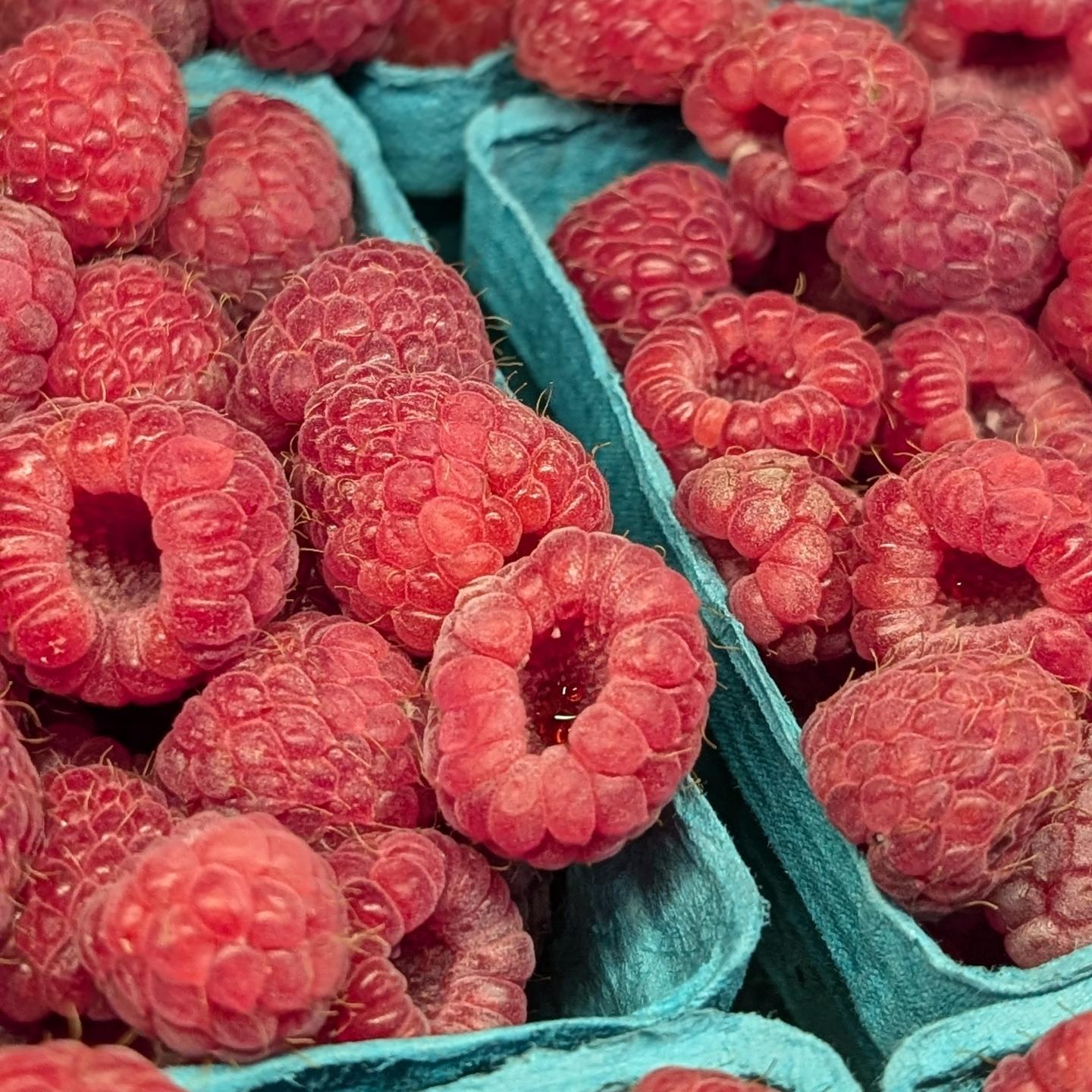Raspberries, Sheldon Berries