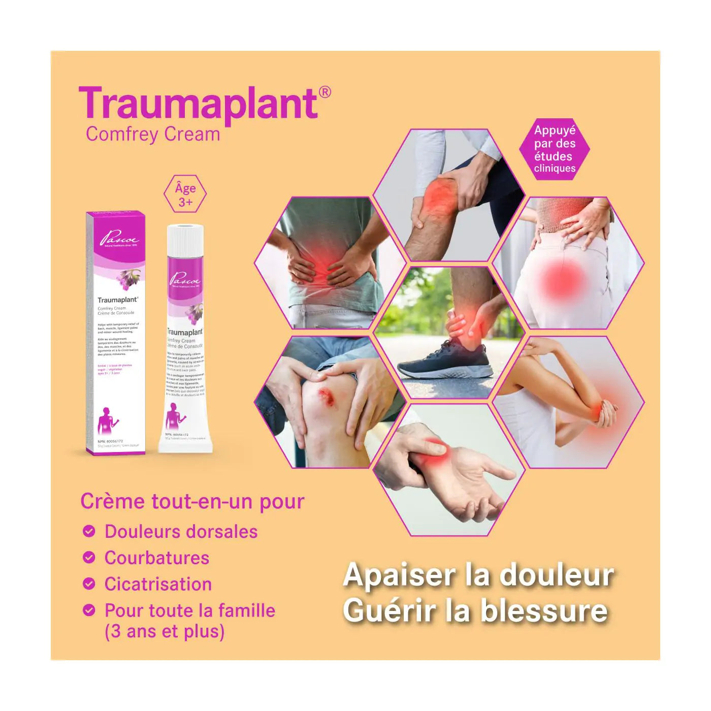 Traumaplant, Pascoe®