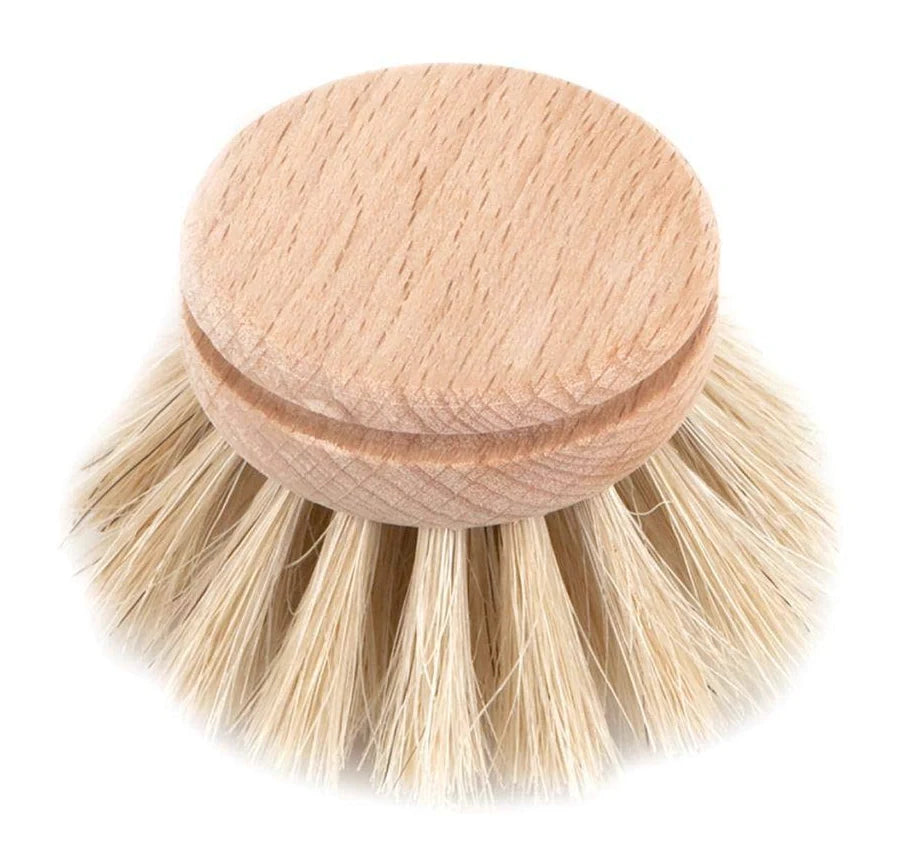 Wooden Dish Brush, (Refill)